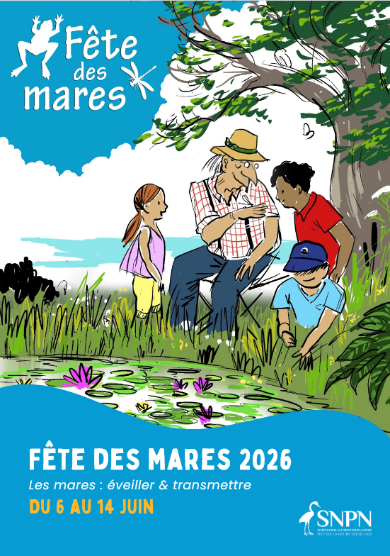 Fête des mares du 6 au 14 juin : Les mares, éveiller et transmettre